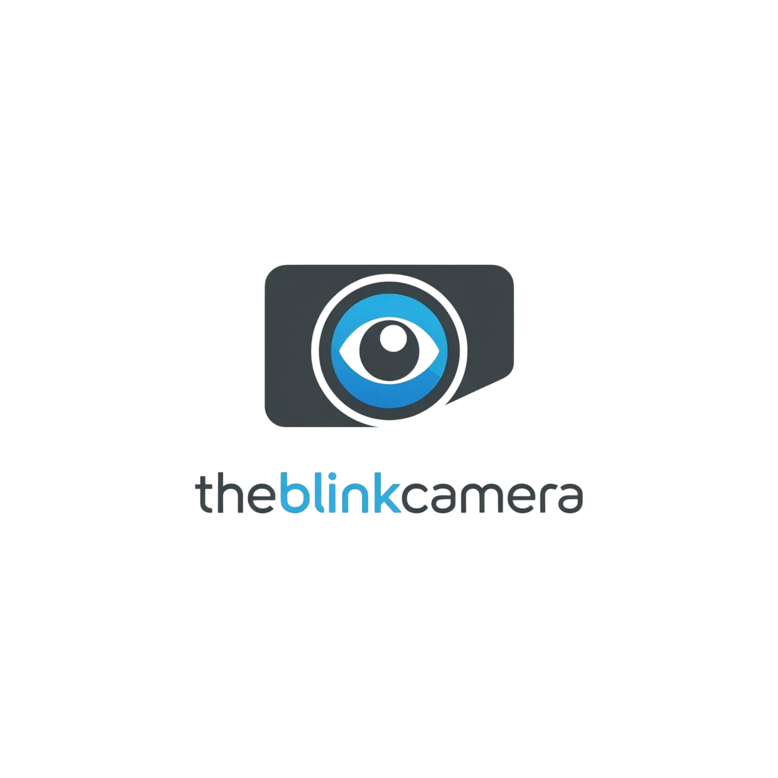 Blink Camera logo